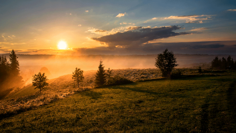 The Creation of Light and Separation from Darkness