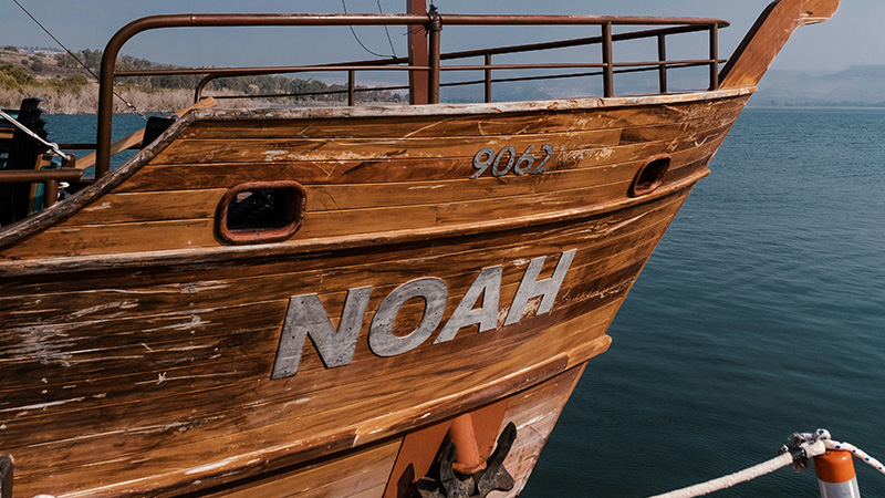 Noah: The Savior of Humanity