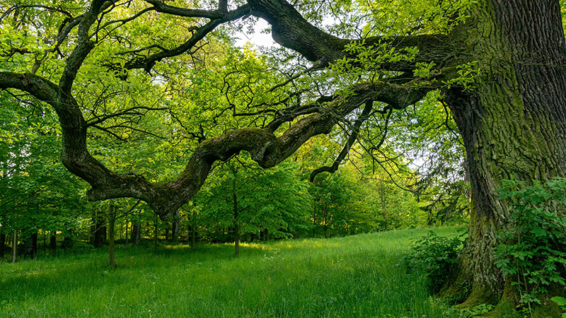  تغییر سرنوشت بشر