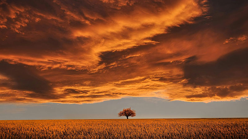 گناه نخستین و تغییر سرنوشت بشر