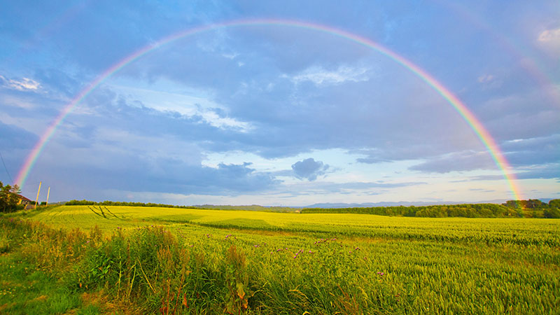 عهد امید: پیمان خدا با نوح پس از طوفان