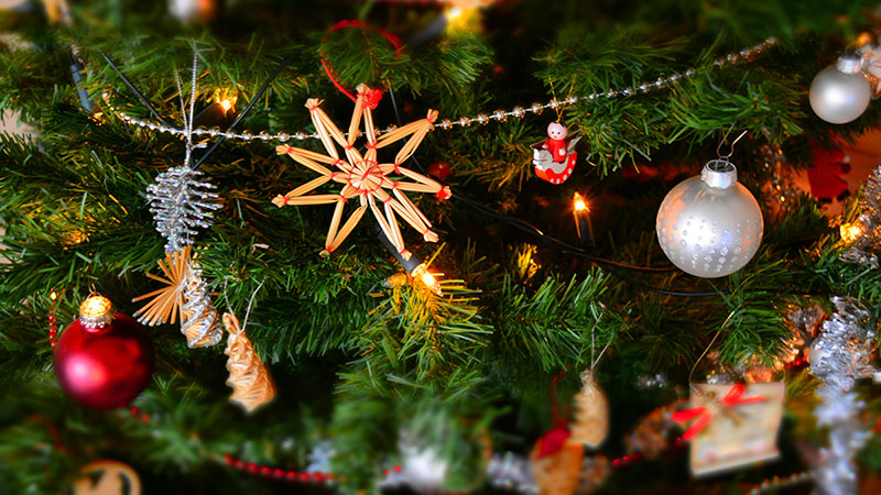 تولد عیسی مسیح