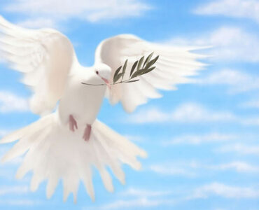 زندگی با ثمرات روح‌ القدس