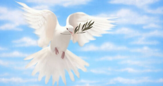 زندگی با ثمرات روح القدس