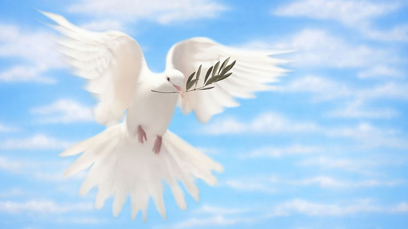 زندگی با ثمرات روح‌ القدس